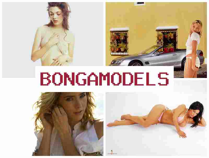 BONGOMODELS ▒ Make money as a webcam model over the internet from home BONGOMODELS ▒ Make money as a webcam model over the internet from home