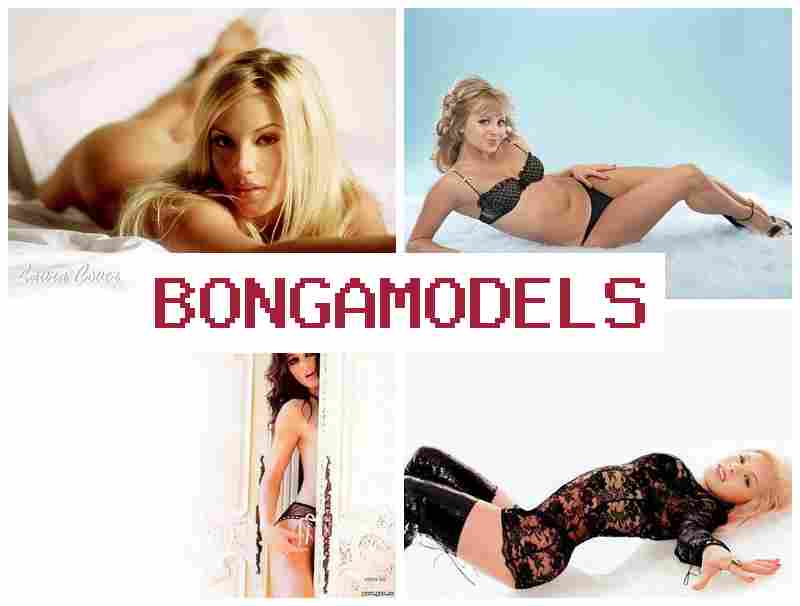 BONGAMOXELS 🆗 Job in the webcam business as a web model home-based BONGAMOXELS 🆗 Job in the webcam business as a web model home-based